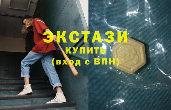 гидра Каменка