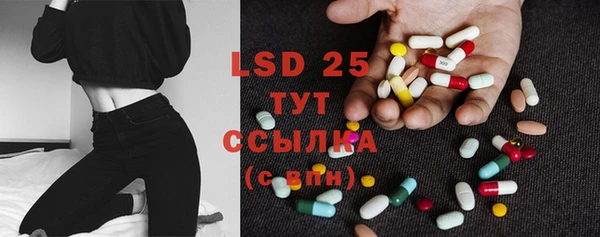 ECSTASY Каменногорск