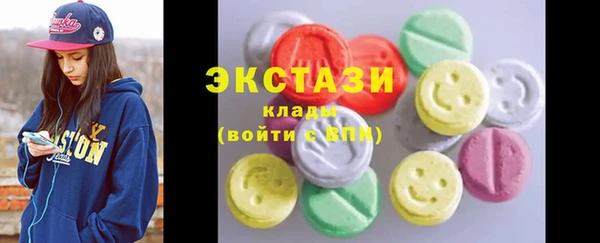 гидра Каменка