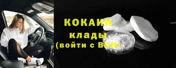 гидра Каменка