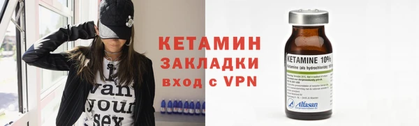 гидра Каменка