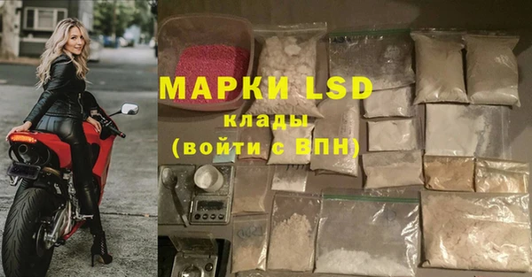 гидра Каменка