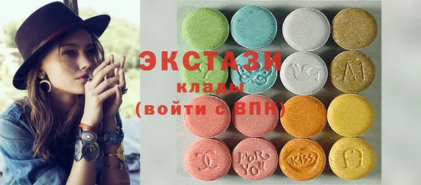 гидра Каменка