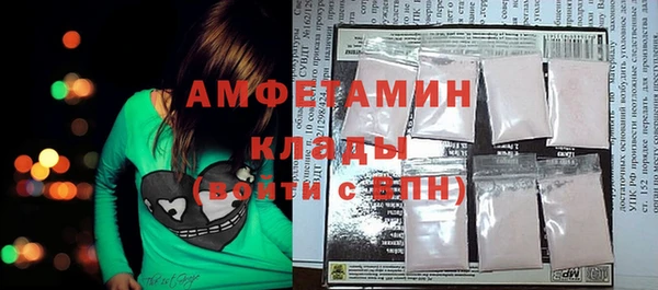 гидра Каменка