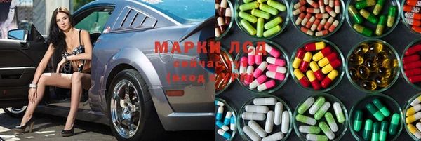 гидра Каменка