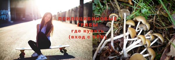 ECSTASY Каменногорск