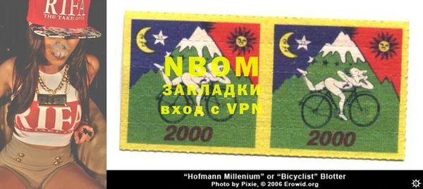 гидра Каменка