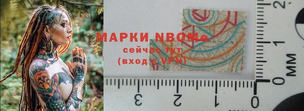 гидра Каменка
