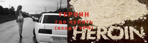 гидра Каменка