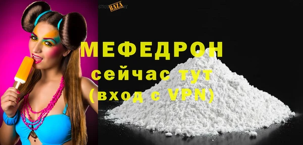 гидра Каменка