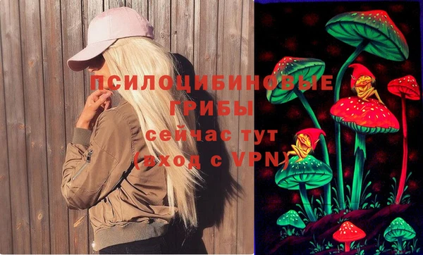 ECSTASY Каменногорск